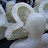 The Cleaned Fiberglass Mold (3 negatives and the Postive)
