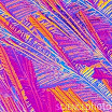 C0048606-Didanosine_Crystal-SPL.jpg
