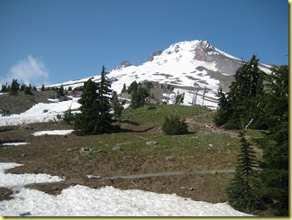 IMG_9441 IMG_9441