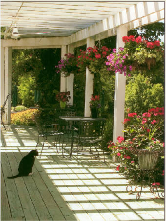 wine country gardens in missouri visitmo com wine country gardens in missouri visitmo com