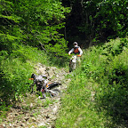 IMG_4334.JPG