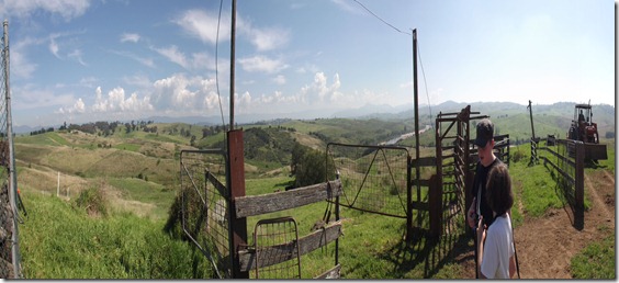 DSCF1683