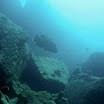 IMG_6681.jpg