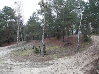 SAM_3740.JPG Photo