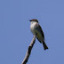 P1050198