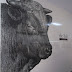 R0027931.JPG