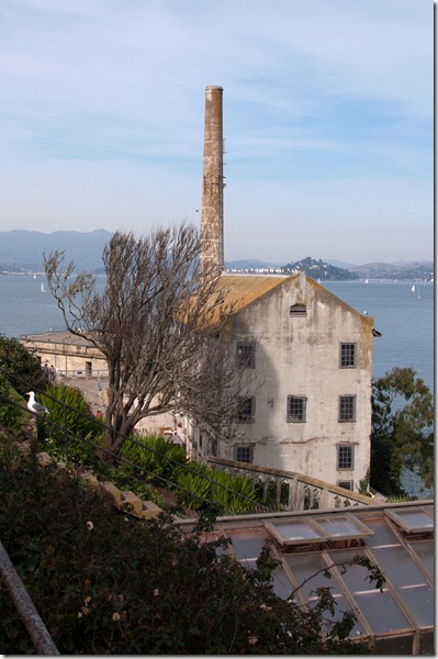 DSC_4247_1