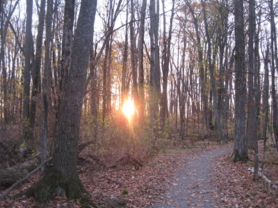[IMG_4841%255B2%255D.jpg]