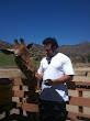 Eric Von Sydow Pua In Zoo 1