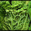 DSCF1322.JPG