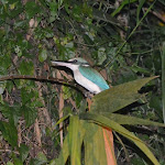 CSC_1189.JPG