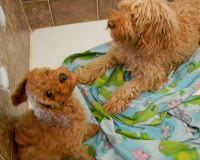 Buckley with Mama Elenor' Nora