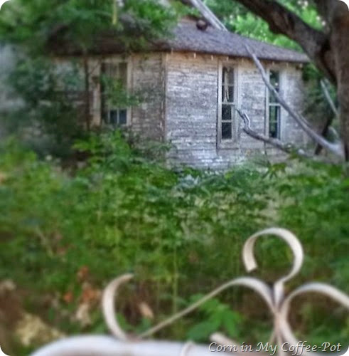 Lotts House Lotts House