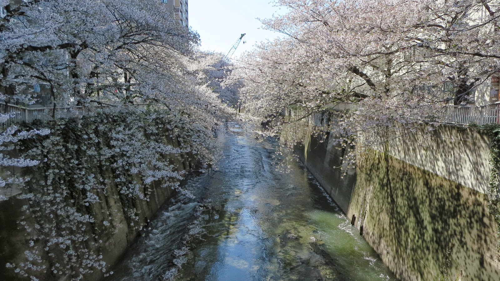[IMG_0892%255B3%255D.jpg]
