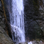 20061121120910__PB212094.JPG