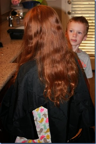 IMG_2511 IMG_2511