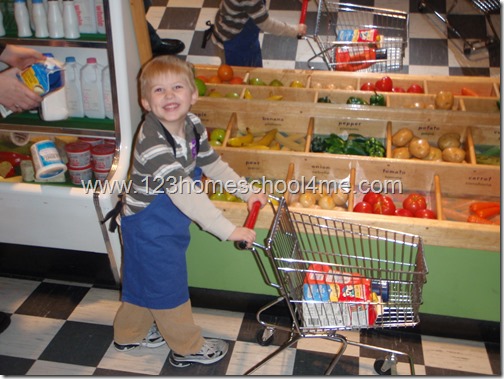 Homeschooling in Illinois: 100+ Field Trip Ideas Homeschooling in Illinois: 100+ Field Trip Ideas