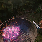 IMG_9590.jpg
