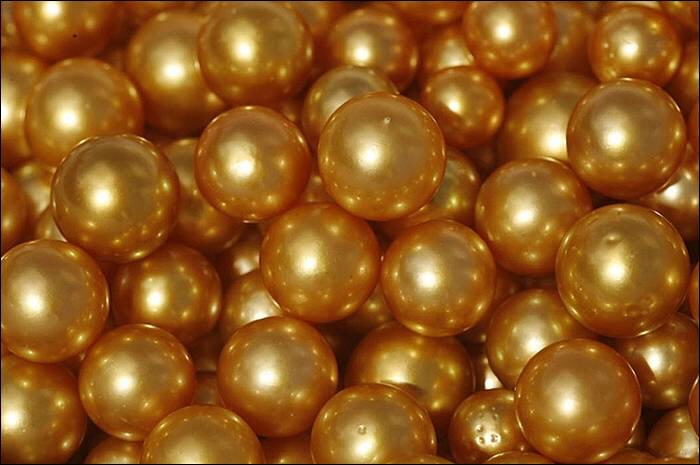 Image Dimension: 700x465 :: The making of Golden Pearl on the island of Palawan in southwestern Philippines The making of Golden Pearl on the island of Palawan in southwestern Philippines