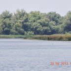 DSCN8172.JPG