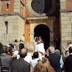 DSC00453.jpg