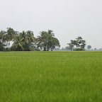 IMG_8811.JPG