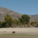 View album