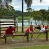 parque2.jpg