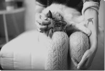 They-love-cats--8_large