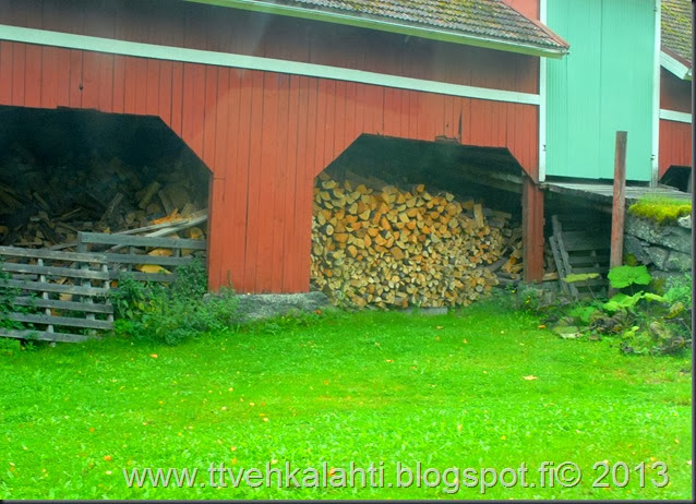 sienimetsällä 071 sienimetsällä 071