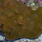 DSC_2156.jpg