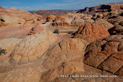 The Wave, Coyote Buttes, Arizona