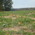DSC06599.JPG