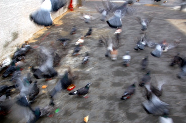 [DSC_0732%255B3%255D.jpg]