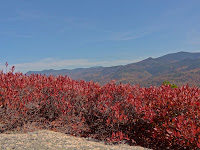 DSC00386.jpg Photo