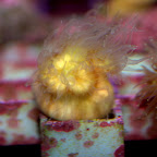 DSC_2145.jpg