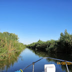 IMG_6197.JPG