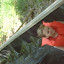 DSC00950.JPG