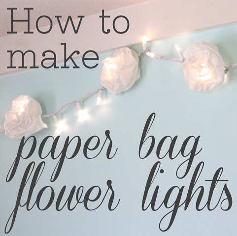 [paper%2520bag%2520flower%2520lights%255B6%255D.jpg]