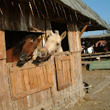Imprezy: Huberts 2005