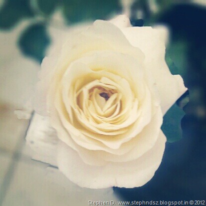[IMG_20120501_121015%255B7%255D.jpg]
