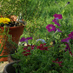 20100724-00015-17.JPG