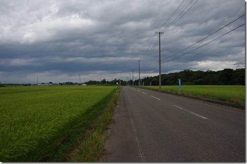 IMGP8244 IMGP8244
