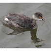 Moss Landing-106.jpg
