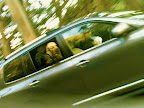 They take time to sniff the air and feel the wind in their hair...