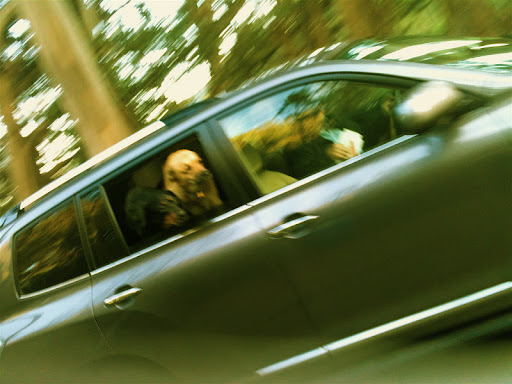 They take time to sniff the air and feel the wind in their hair...