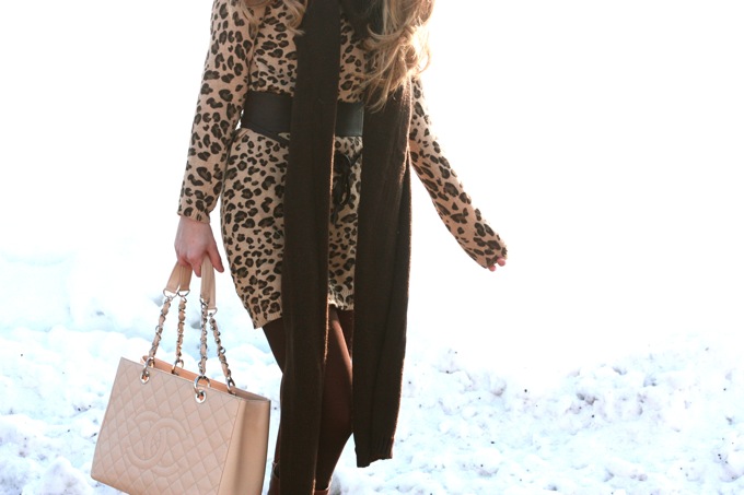 Leopard in the snow outfit