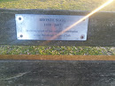 Bronte Sugg Memorial Bench