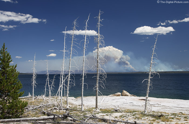 Forest Fire Across Yellowstone Lake. Yellowstone National Park is ablaze. A huge heat-formed cloud rises above the smoke from this lightning-started forest fire across the beautiful Yellowstone Lake. A thermal feature (they are everywhere in YNP) is visible at the waters near edge. Closer in the picture are white trees - killed by the minerals they have absorbed. A circular polarizer filter was used to reduce glare and increase contrast in this picture. the-digital-picture.com