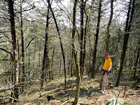 DSCN1906temp.JPG